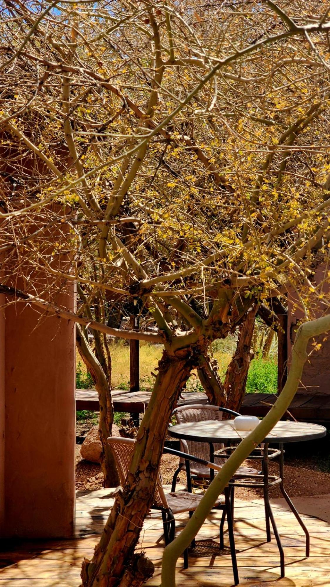 Hotel Tulor San Pedro De Atacama Zewnętrze zdjęcie