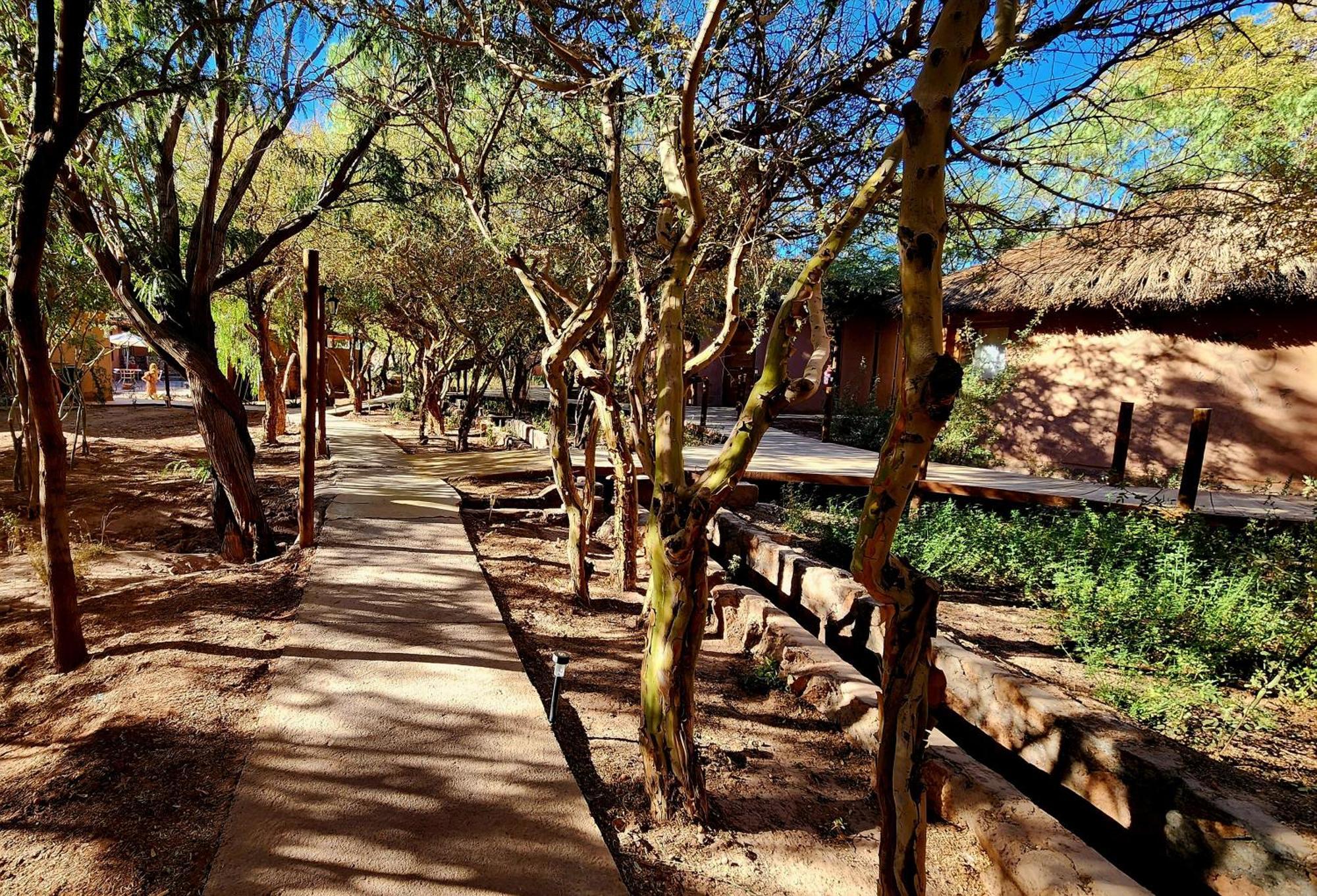 Hotel Tulor San Pedro De Atacama Zewnętrze zdjęcie